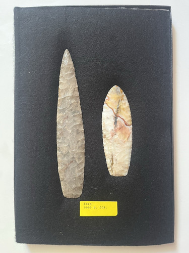 Wunderschöne prähistorische